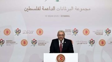 بحضور أردوغان.. وكيل النواب: علينا التحرك مع برلمانات العالم للاعتراف بالدولة الفلسطينية