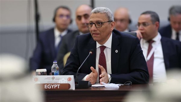 وكيل مجلس النواب خلال اجتماع البرلمانات الداعمة لفلسطين: نرفض التهجير بكل أشكاله وكيل مجلس النواب خلال اجتماع البرلمانات الداعمة لفلسطين: نرفض التهجير بكل أشكاله