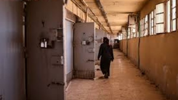 التقى الشرع وزار سجن صيدنايا.. وفد الكونجرس الأمريكي في دمشق التقى الشرع وزار سجن صيدنايا.. وفد الكونجرس الأمريكي في دمشق