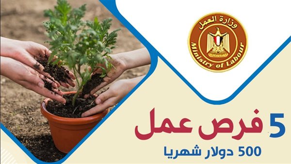 براتب يعادل 25 ألف جنيه.. فرص عمل للزراعيين في لبنان براتب يعادل 25 ألف جنيه.. فرص عمل للزراعيين في لبنان