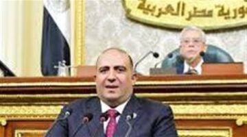 "إفريقية النواب" تثمن جهود مصر لتهدئة الأوضاع في شرق الكونغو