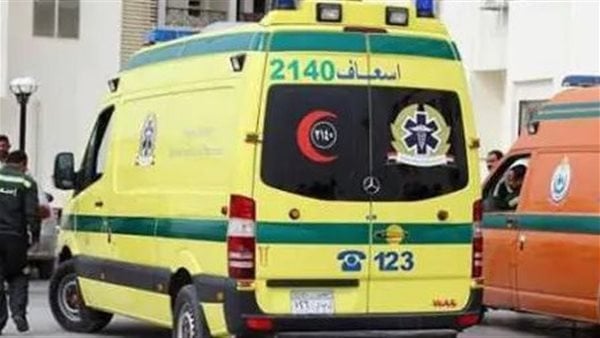 تنفي واقعة الفعل الفاضح| شقيقة الطالب المتهم بالتسبب في مقتل مدرس بالمنوفية: أنا اللي كنت معاه تنفي واقعة الفعل الفاضح| شقيقة الطالب المتهم بالتسبب في مقتل مدرس بالمنوفية: أنا اللي كنت معاه