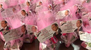 محافظ الغربية: لافتات التهنئة وهدايا الرئيس تجسد روح الوحدة الوطنية في عيد القيامة المجيد
