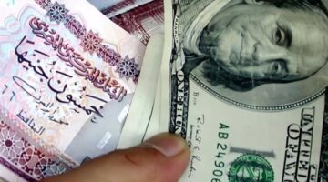 سعر الدولار اليوم مقابل الجنيه المصري.. آخر تحديث بعد قرار المركزي