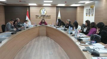 لجنة العلاقات الخارجية بـ"القومي للمرأة" تعقد اجتماعها الدوري وتناقش جهودها