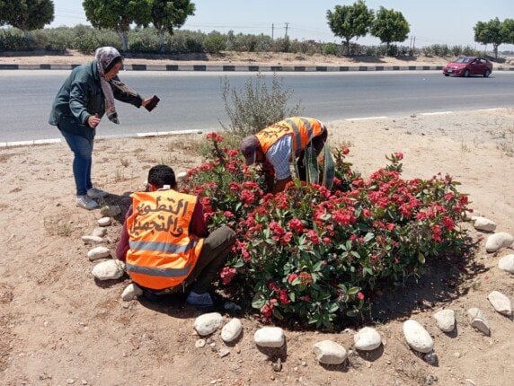 استعدادًا للاحتفال بأعياد الربيع.. زراعة الزهور وتهذيب المسطحات الخضراء بحدائق وميادين الإسماعيلية استعدادًا للاحتفال بأعياد الربيع.. زراعة الزهور وتهذيب المسطحات الخضراء بحدائق وميادين الإسماعيلية