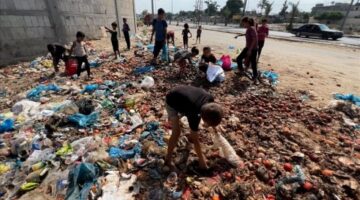 غزة بين حصار وتجويع.. فلسطينيون ينبشون النفايات بحثا عن حياة