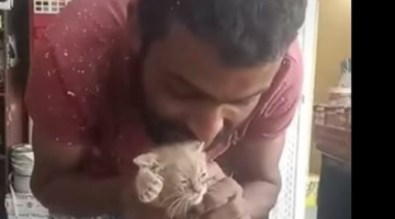 قطع أذنها.. فيديو صادم يوثق تعذيب قطة يثير الجدل على السوشيال ميديا