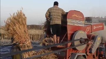 وفاة فلاح إثر سقوطه داخل دراسة قمح أثناء موسم الحصاد في المنوفية