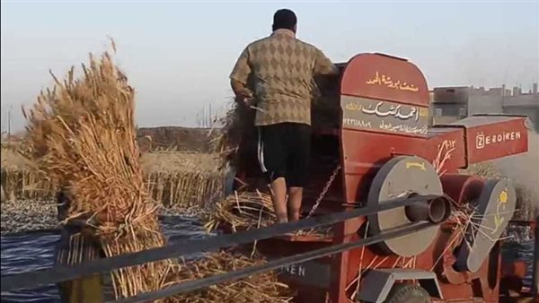 وفاة فلاح إثر سقوطه داخل دراسة قمح أثناء موسم الحصاد في المنوفية وفاة فلاح إثر سقوطه داخل دراسة قمح أثناء موسم الحصاد في المنوفية