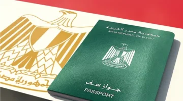 قرار وزاري بـ رد الجنسية المصرية لـ 21 شخصًا |مستند