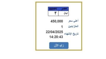 سعرها اقترب من نصف مليون جنيه.. خطوات التزايد على لوحة سيارة مميزة