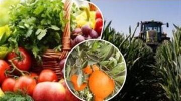 الزراعة تصدر نشرة فنية لمزارعي الفاكهة المتساقطة