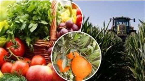 الزراعة تصدر نشرة فنية لمزارعي الفاكهة المتساقطة الزراعة تصدر نشرة فنية لمزارعي الفاكهة المتساقطة