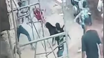 استخدموا خلالها كلبًا.. الأمن يفحص حدوث مشاجرة بالأسلحة البيضاء بين مجموعة من الأشخاص