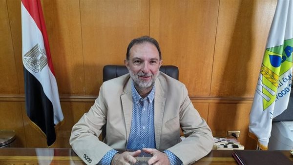 حملات سلامة الغذاء التفتيشية على الأسواق بمختلف المحافظات حملات سلامة الغذاء التفتيشية على الأسواق بمختلف المحافظات