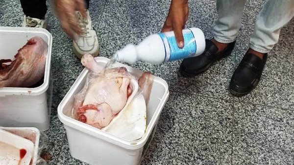 ضبط وإعدام لسلع غذائية وأسماك مملحة فاسدة بأسوان ضبط وإعدام لسلع غذائية وأسماك مملحة فاسدة بأسوان