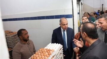 بسعر 120 جنيهًا.. طرح كرتونة البيض بمنافذ البيع في المنيا