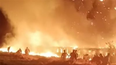 قرار من النيابة بشأن حريق مزرعة دواجن بكفرالشيخ قرار من النيابة بشأن حريق مزرعة دواجن بكفرالشيخ