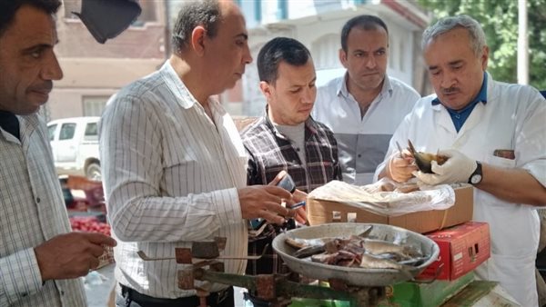 ضبط 103 مخالفة تموينية متنوعة بمراكز الفيوم.. صور ضبط 103 مخالفة تموينية متنوعة بمراكز الفيوم.. صور