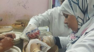ضبط 153 كيلو أسماك مملحة منتهية الصلاحية في حملة بالوادى الجديد