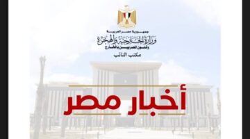 «أخبار مصر».. نشرة إخبارية يومية تطلقها وزارة الهجرة للمصريين في الخارج