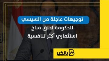 توجيهات عاجلة من السيسي للحكومة لخلق مناخ استثماري أكثر تنافسية | إنفوجراف