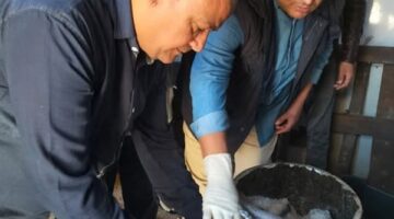 حملات بيطرية مكثفة  علي أسواق البحيرة