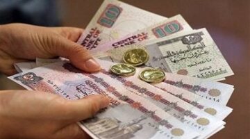 شعبة المستوردين: تخفيض الفائدة يشجع الصناعة ويخفف أعباء التمويل على المستثمرين
