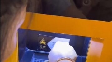 بالفيديو| جهاز صراف آلي في الصين يقوم بشراء الذهب فوراً ويحول المبلغ النقدي لحسابك&nbsp;