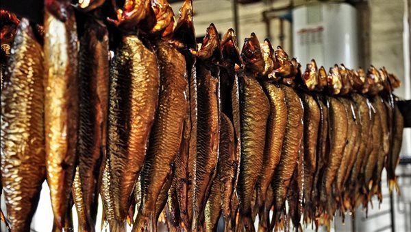 سعر الرنجة في منافذ وزارة التموين خلال شم النسيم