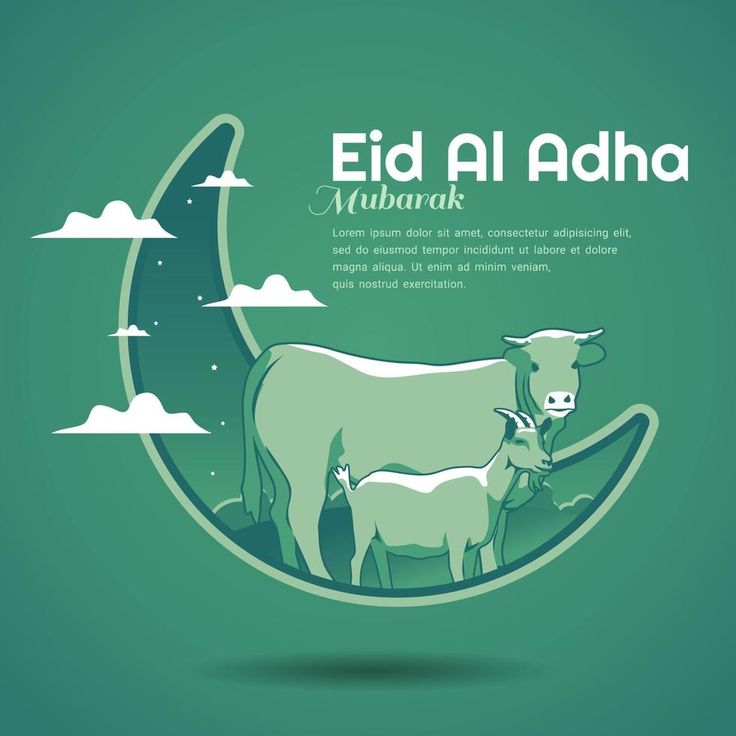 تهنئة عيد الأضحى بالإنجليزي 9