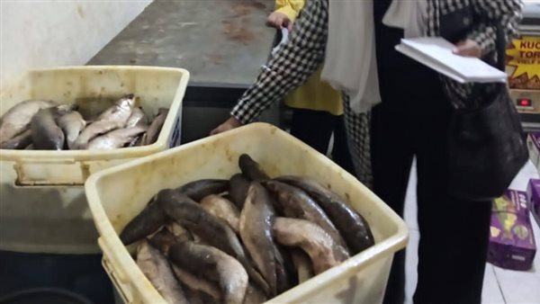 تموين الجيزة تضبط 1.3 طن فسيخ ورنجة فاسدة.. وتحرر 79 محضرًا| صور تموين الجيزة تضبط 1.3 طن فسيخ ورنجة فاسدة.. وتحرر 79 محضرًا| صور