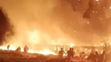حريق يلتهم كرم نخيل بمنطقة الجزيرة في أسوان والحماية المدنية تنقذ الموقف
