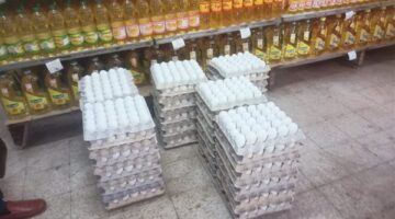 عاجل..التموين تقرر تخفيض سعرالدواجن المجمدة وطبق البيض ٣٠ جنيها