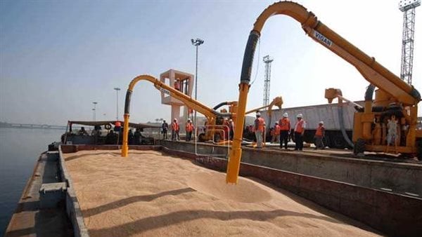 العربية: مصر تستهدف استيراد 13 مليون طن قمح في العام المالي الجديد العربية: مصر تستهدف استيراد 13 مليون طن قمح في العام المالي الجديد