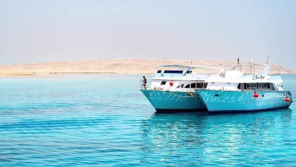 جزيرة الجفتون: وجهة سياحية مميزة تحتفل بشم النسيم في البحر الأحمر