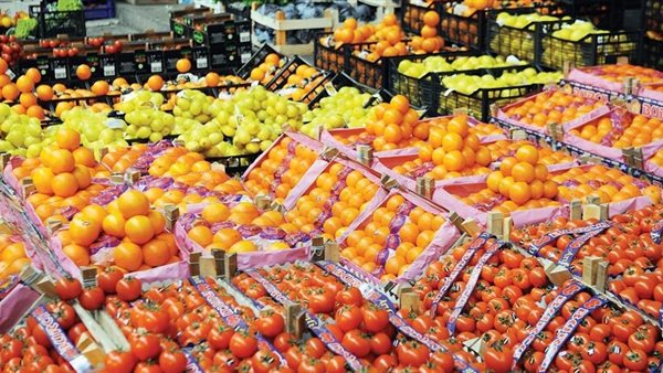 أهم الصادرات الزراعية المصرية في الربع الأول من عام 2025 أهم الصادرات الزراعية المصرية في الربع الأول من عام 2025