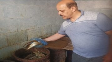 محافظة الإسكندرية تشن حملات رقابية مكثفة على أسواق الأسماك