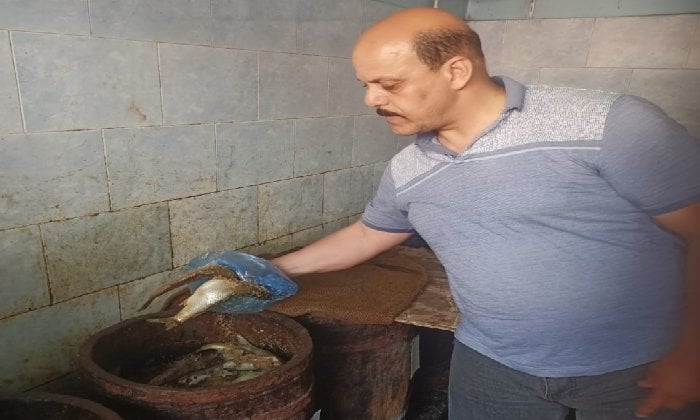 محافظة الإسكندرية تشن حملات رقابية مكثفة على أسواق الأسماك