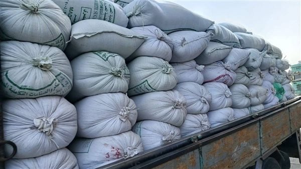 بشائر الخير.. التموين تعلن استلام 600 طن قمح في الأقصر بشائر الخير.. التموين تعلن استلام 600 طن قمح في الأقصر