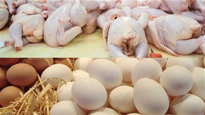 بمناسبة شم النسيم.. تخفيض أسعار الدواجن المجمدة والبيض بمناسبة شم النسيم.. تخفيض أسعار الدواجن المجمدة والبيض