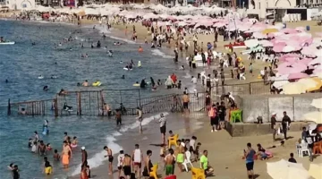 اقبال المواطنين على الشواطئ للاستمتاع بشم النسيم بالاسكندرية