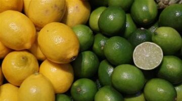 بعد الارتفاع الجنوني.. موعد انخفاض سعر الليمون