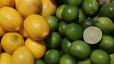 بعد الارتفاع الجنوني.. موعد انخفاض سعر الليمون بعد الارتفاع الجنوني.. موعد انخفاض سعر الليمون