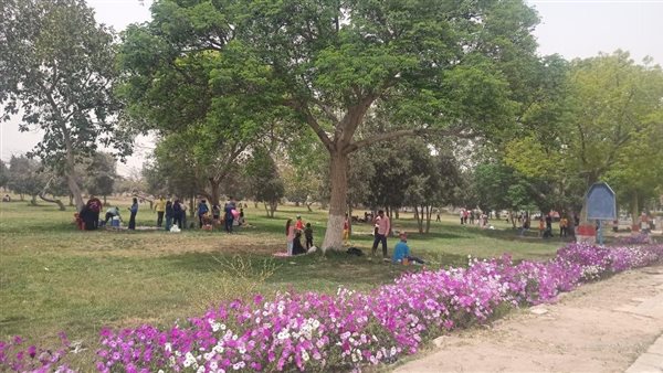 المواطنين يستمتعون بطقس الإسكندرية المواطنين يستمتعون بطقس الإسكندرية