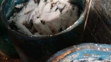 ضبط 20 طن رنجة وأسماك مدخنة غير صالحة للاستهلاك الآدمي وبدون فواتير بالشرقية