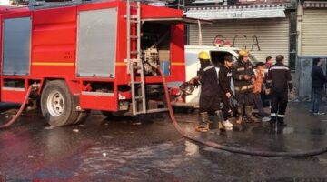 نفوق 5 رؤوس ماشية إثر في مزرعة بأطفيح