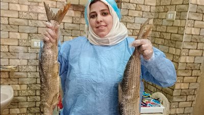 في شم النسيم.. اقبال كثيف من المنياوية على محلات «الفسيخ» وعائشة عبد الكافي تتصدر المشهد وتلقب بسيدة الفسيخ الأولى في شم النسيم.. اقبال كثيف من المنياوية على محلات «الفسيخ» وعائشة عبد الكافي تتصدر المشهد وتلقب بسيدة الفسيخ الأولى