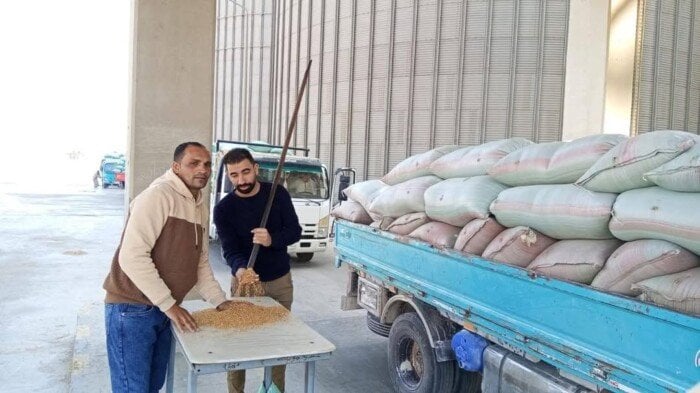 المنيا في الصدارة: توريد محصول للقمح يتجاوز 21 ألف طن مع انطلاق موسم الحصاد المنيا في الصدارة: توريد محصول للقمح يتجاوز 21 ألف طن مع انطلاق موسم الحصاد